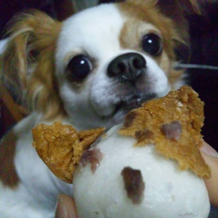 1915c6bf 3e55 4ffb 8efd dc0b02ad75b1