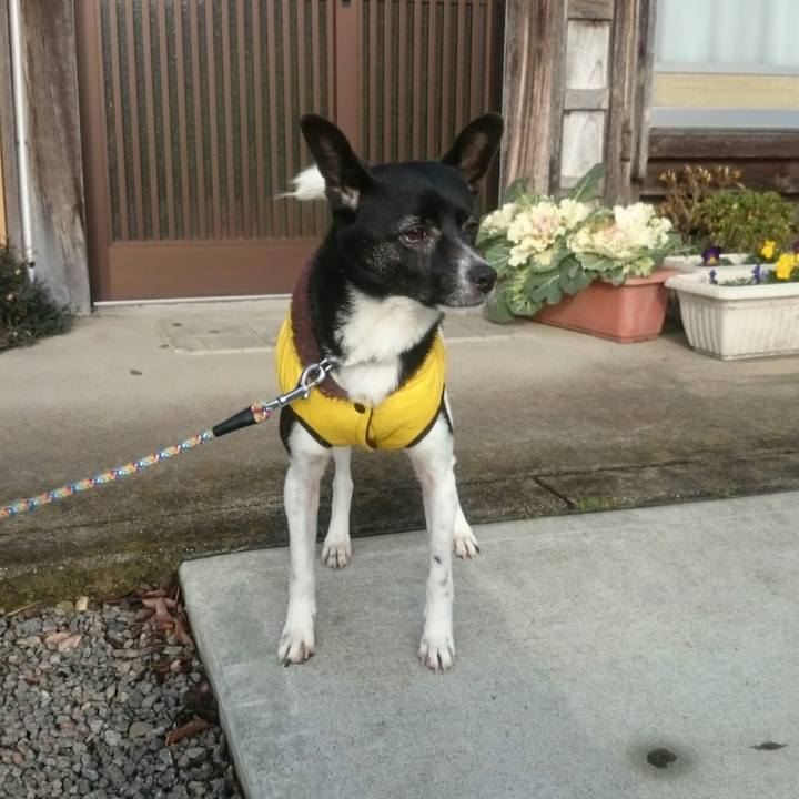 1915fec9 8563 4001 853b f6c0824a37eb