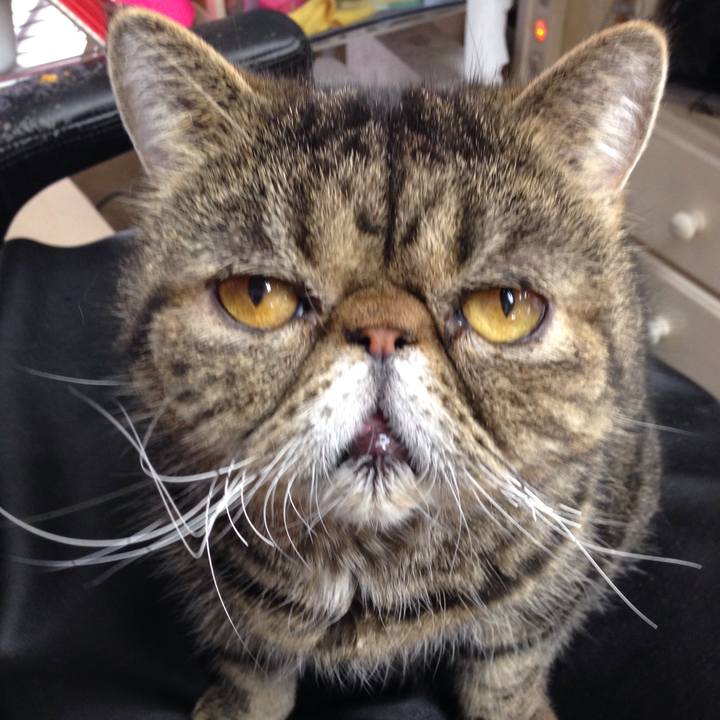 19164df8 21b8 4584 9cce a0b15a725af4