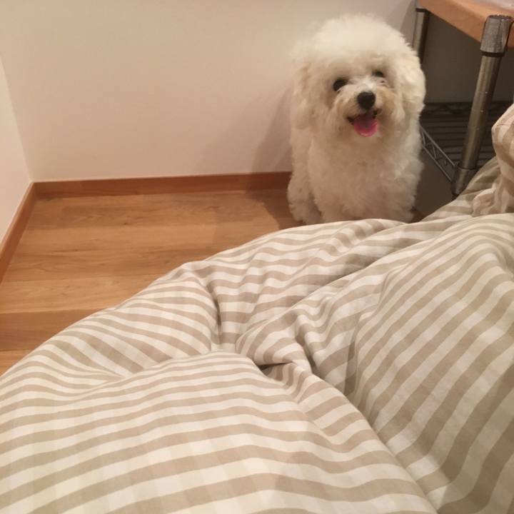 1916dc69 7f07 46b2 bc49 f9b7ad7707ad