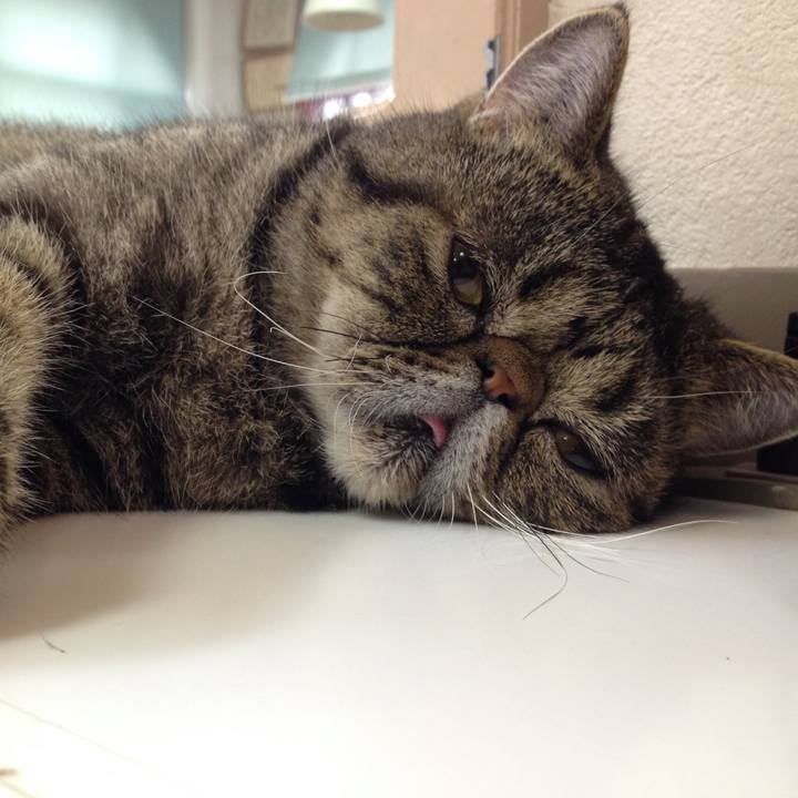 19172ff7 243a 4e46 9f0c 3a37dcc6fffc