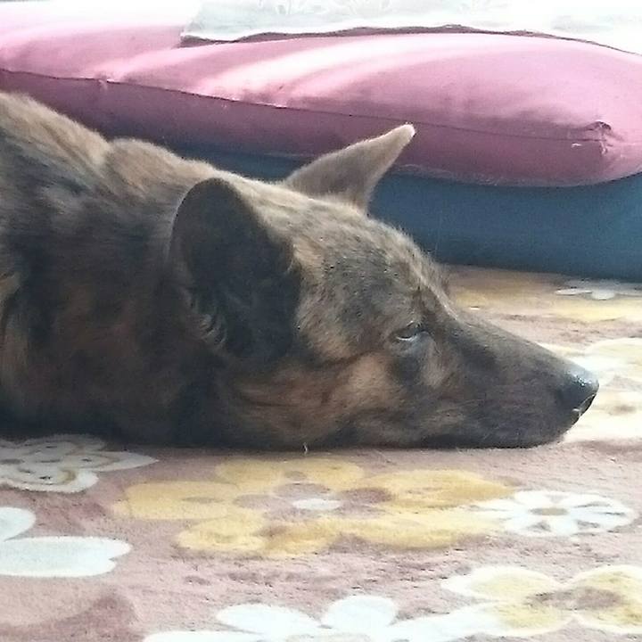 1917f33b 9b54 4d75 9aec 8766116b7886