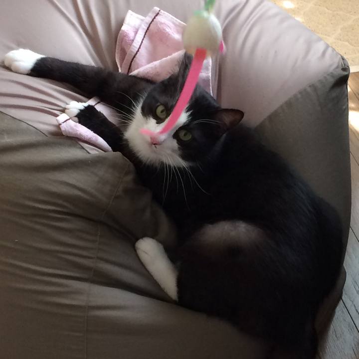 19180ed3 1dba 48c2 8d2e 063db680835c