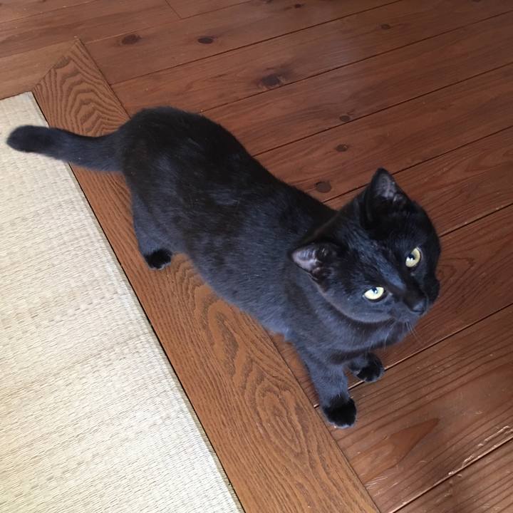 19193526 f0f2 4464 8235 16d32b72e986