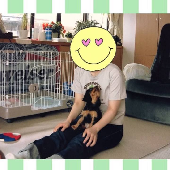 19197658 81b3 424f b794 2567e735ea63