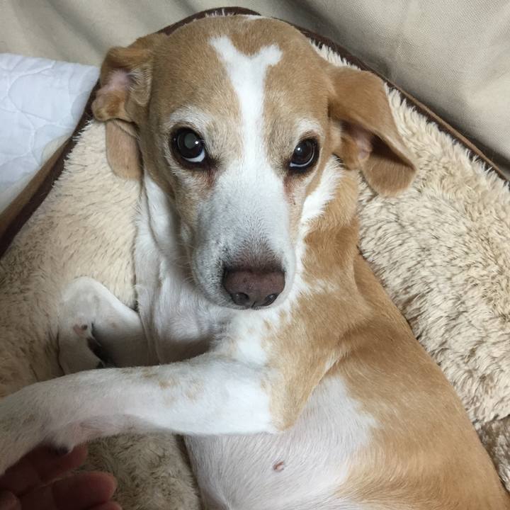 1919c754 8c94 4913 8ae9 da7e2bed79f5