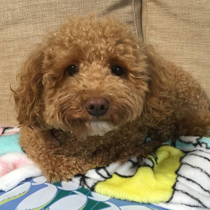 1919ddd6 4324 465d ac25 8915005401ba