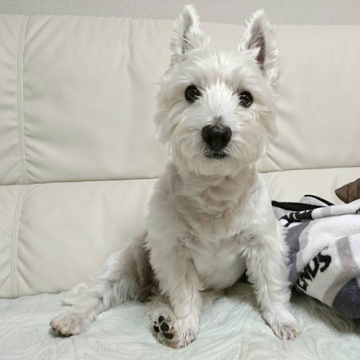 191a4b86 5fad 4b8b 985c f3cebafd65f7