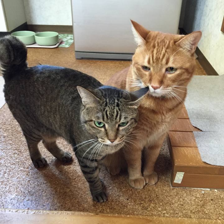 191ac896 699d 4848 adb4 5edbac5792ca