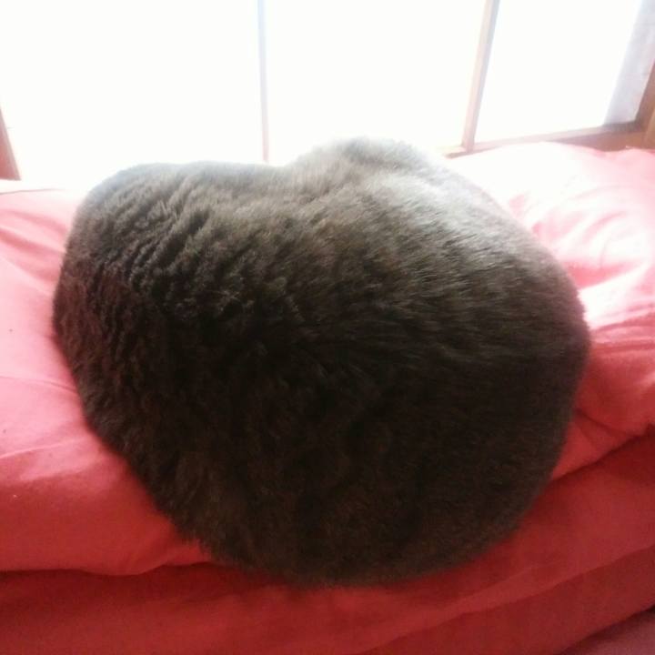 191bb96a 7b69 45f6 b4b4 60d0041905db