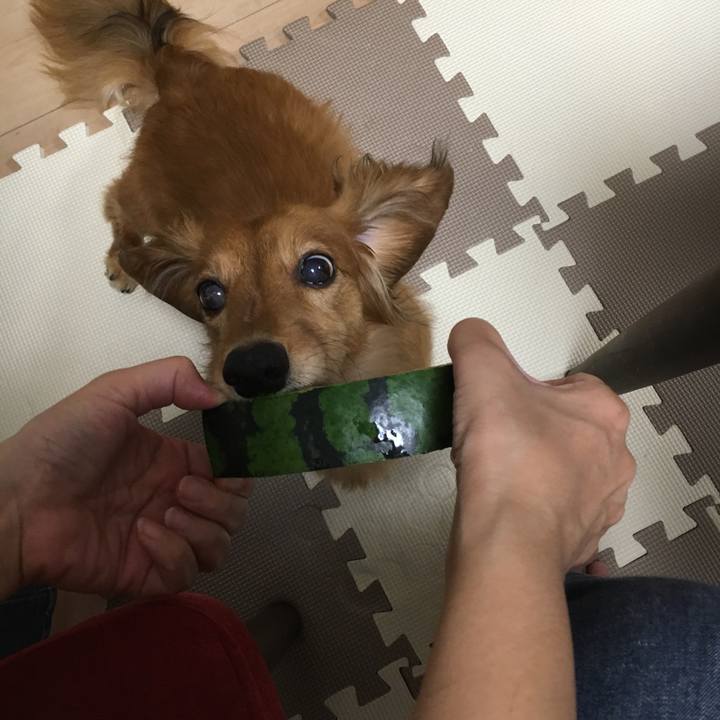 191c7bc6 5dda 45bd 9ebf 8c4c43784017