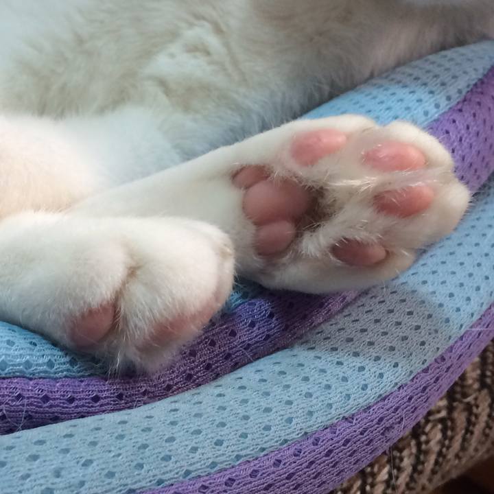 191cf14c 7356 42e4 80e0 fc0f1a5c4183