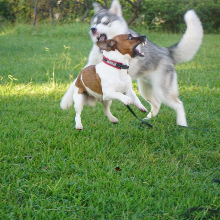 191da42b de10 407a b2c6 c37ffba4988b