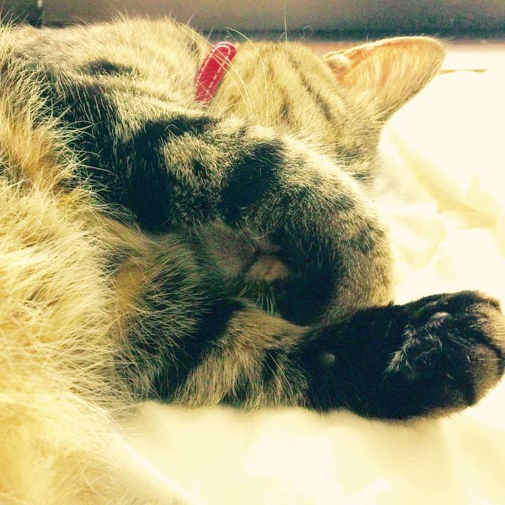 191dc517 b8fe 4cb8 963f 847deb289053