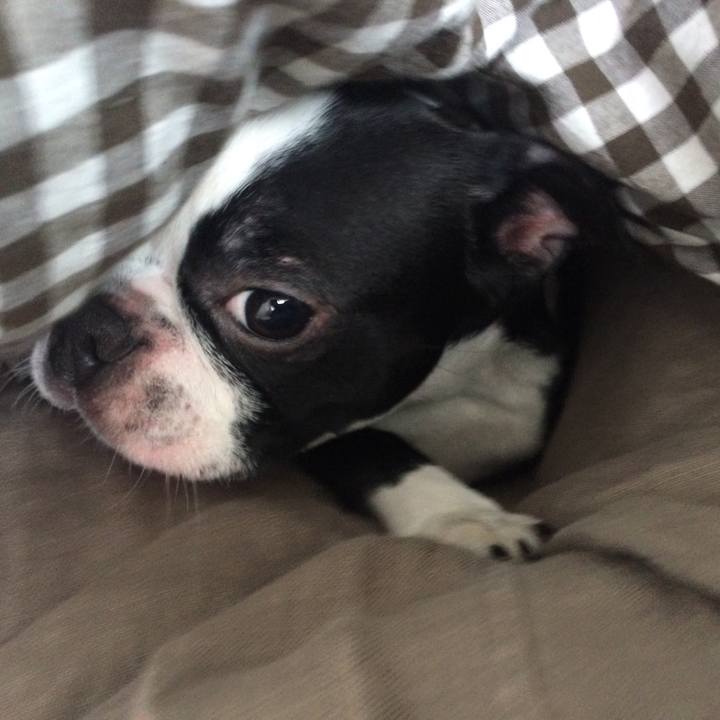 191e162a ee1d 41f3 a0e0 0913d3a39178