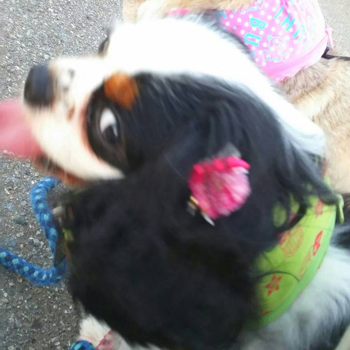 191e3576 748d 48d1 964d d244a8387602