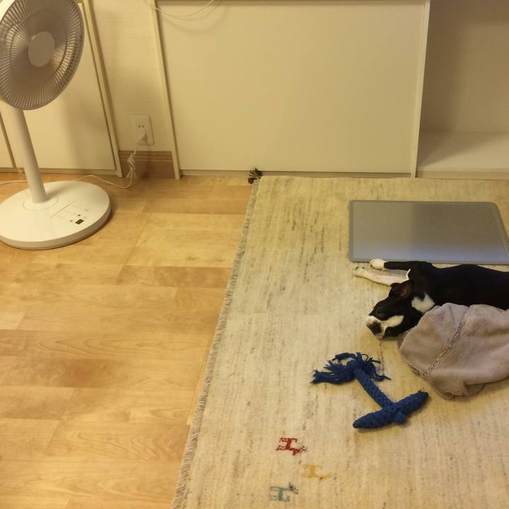 191e9175 ff1e 4854 b85c 9ba7cca6344f