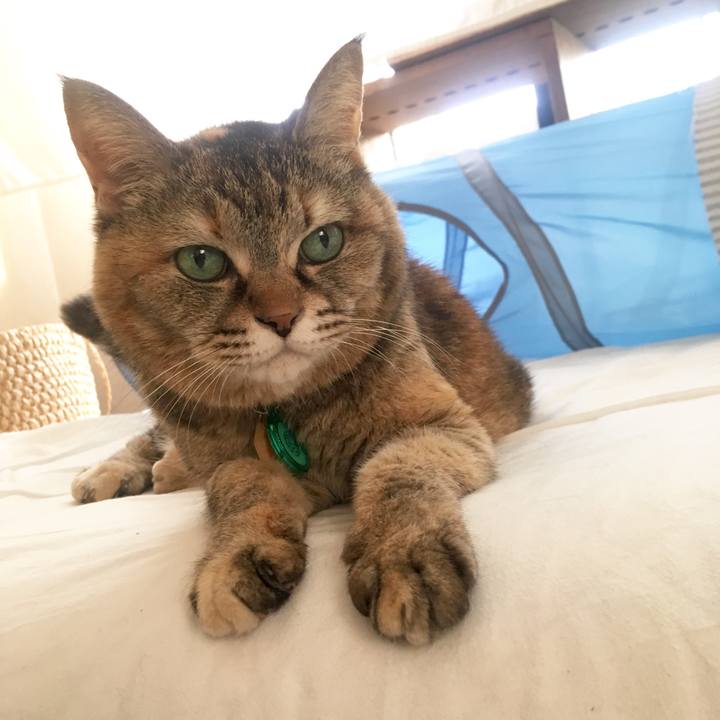 191f0275 ff9c 4df8 ac8c 5a46c6a00bdc