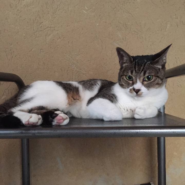 191fbfc0 4f7c 4d12 946d 460e6fbcc0fb