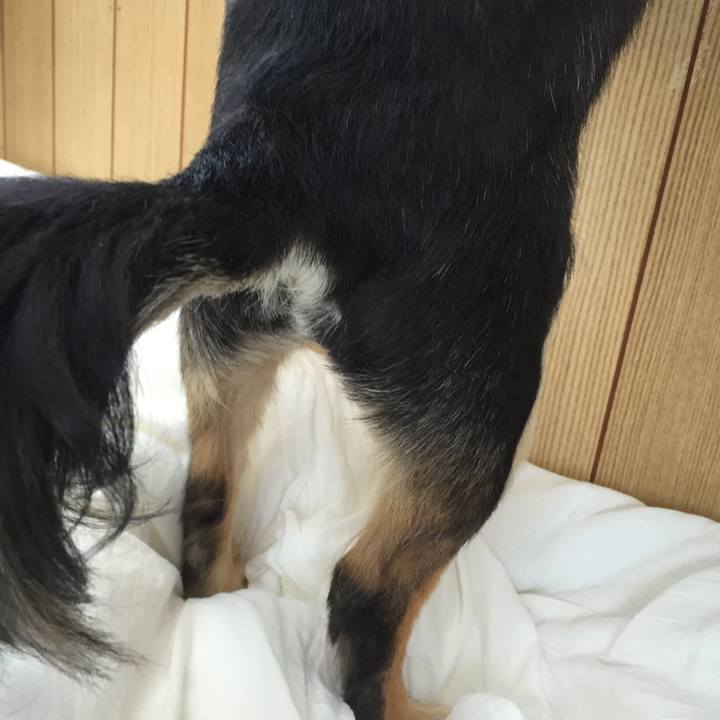 191fce0f dba4 4542 9cde bfecdf2972ab