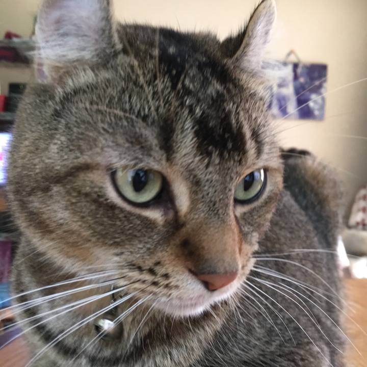 19202344 d830 44f4 ac60 f775ba2ba1c9