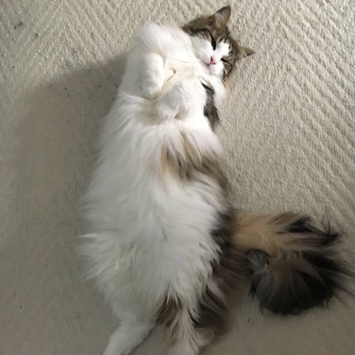 19203fcf 5de7 4e80 b134 6a21d7a37bdd