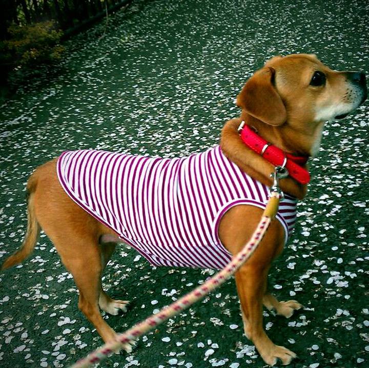 19204bb3 a7e9 4975 ae35 f48f9476287c