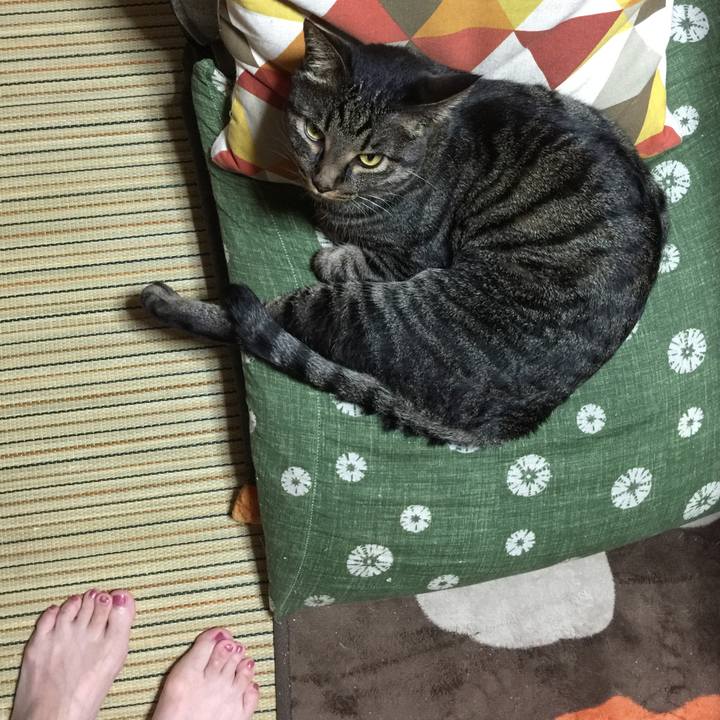 1920bf81 85d9 4365 8a37 721f16bdaac9