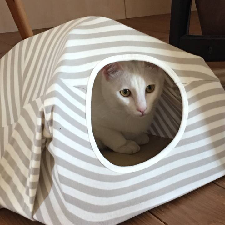 19217279 02e0 45ac ae5c be89e29034ad