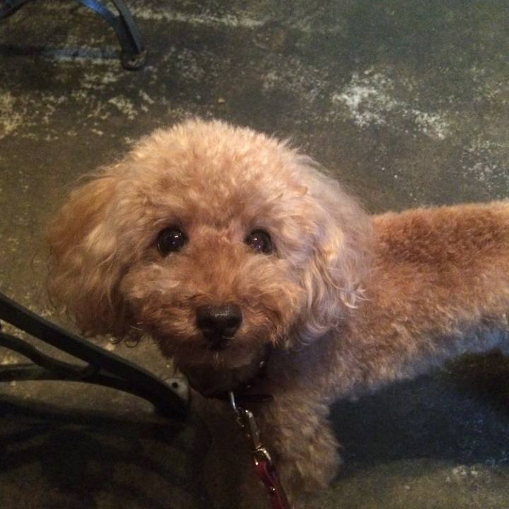 19219a00 b442 4b0c bcd8 e8c55ba9d732