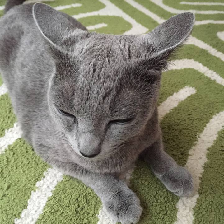 1921cb5f 3656 4c38 9784 28859e78c5e9