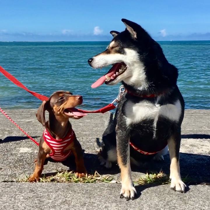 1921d763 97d6 48c5 be42 085786e3f313