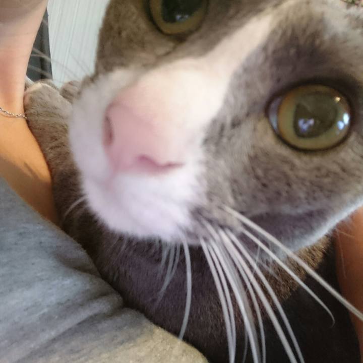 1921e2d2 d7fd 4edb 800e 43c8fa1fc846