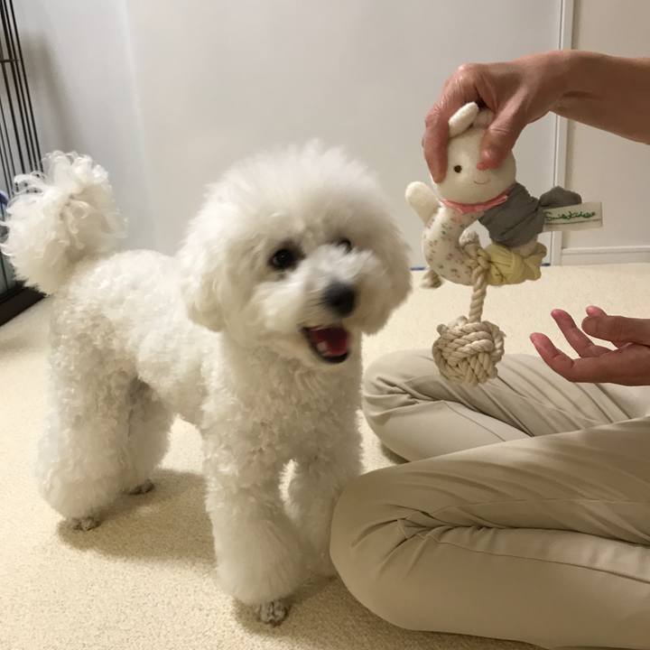 192305c1 3d0f 425a 8c23 430c4b5d7feb