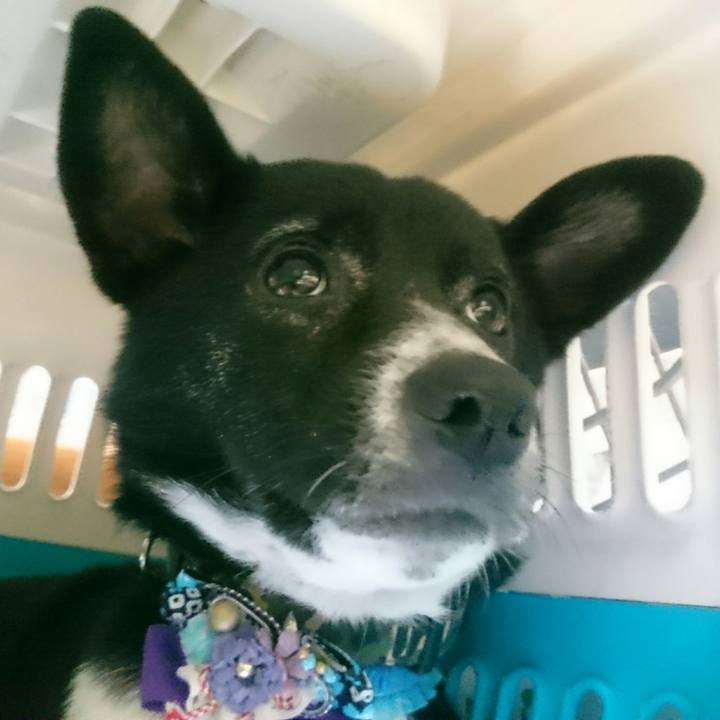 1923ec4a f1c8 4494 8a35 f5989488e906