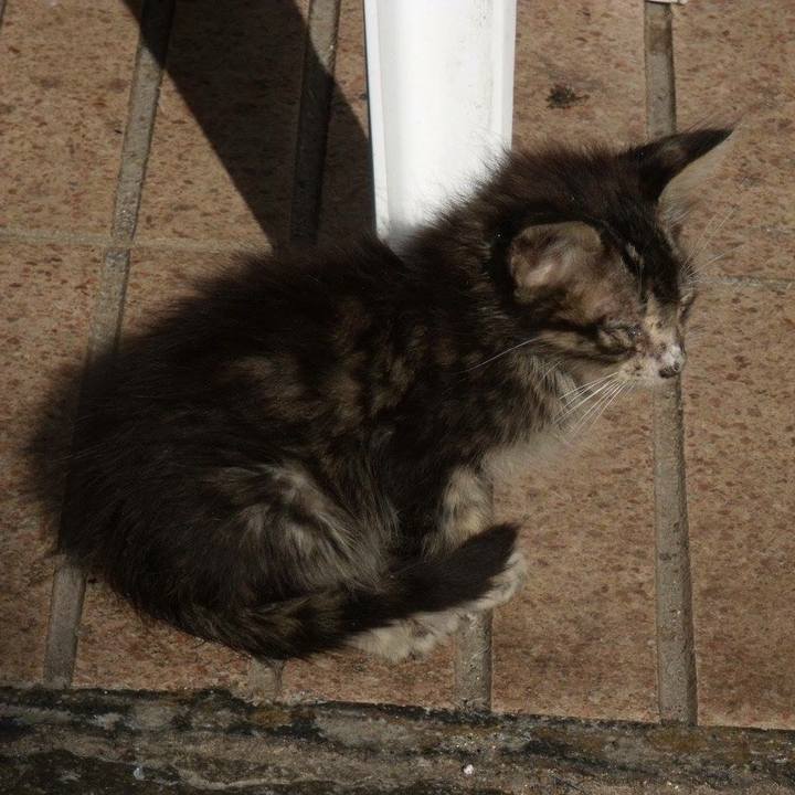 19245492 bc46 46d9 9514 6cb146bacb75