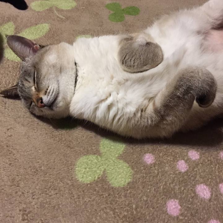 1924673d d723 43ec 9b88 ee7aff1d5384