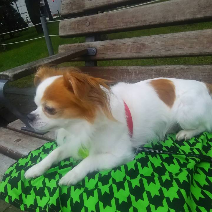 1924a2b4 4fe8 4b6c aacf 9b4ee19dd56d