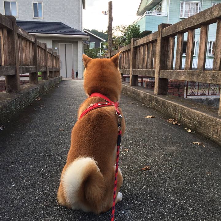 1924c6c1 6ad9 45d3 b7dc c15a66592d3a