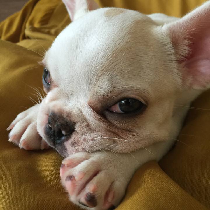 1924c7af af50 4b31 a334 6276c74f2403