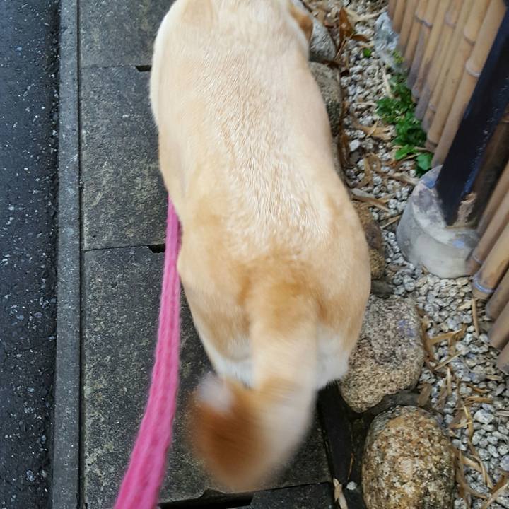 1924c885 0945 47be 9b43 22d912ff5675