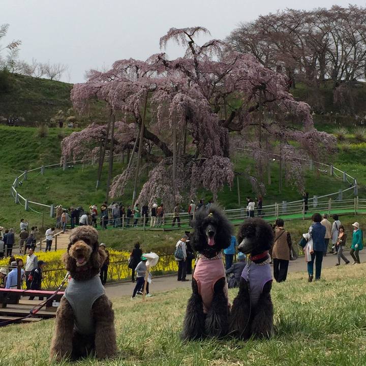 1924d9a0 b91d 4ab0 8e8b 3ecd73bf6bec