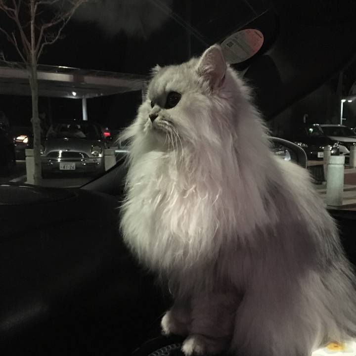 192518ef 8c86 433b 9ede 1f77ee677436