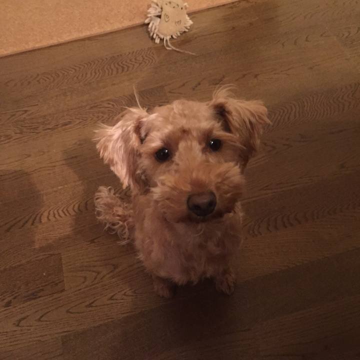 19257ada 389f 418a 8011 624e03a6fc1b