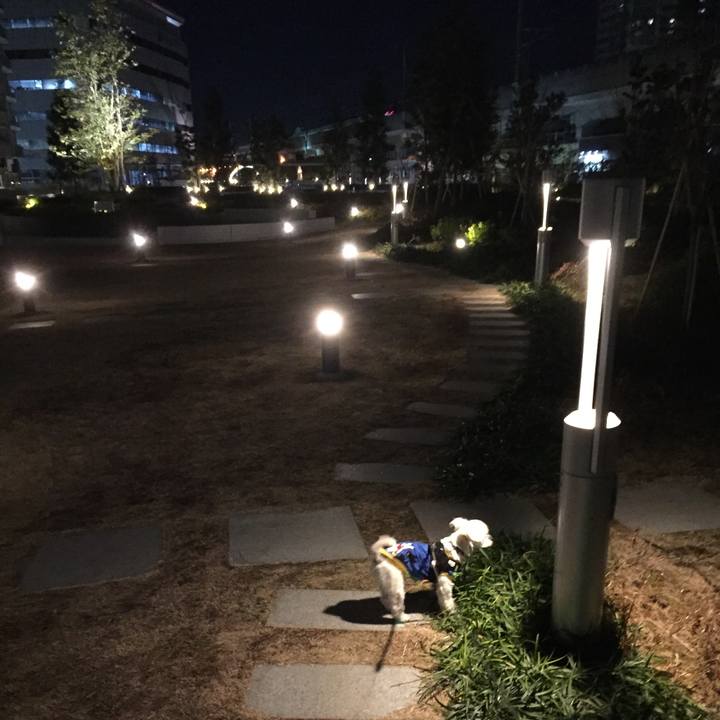 192608cb 1d35 4fd4 bcef 2aa864a249ac