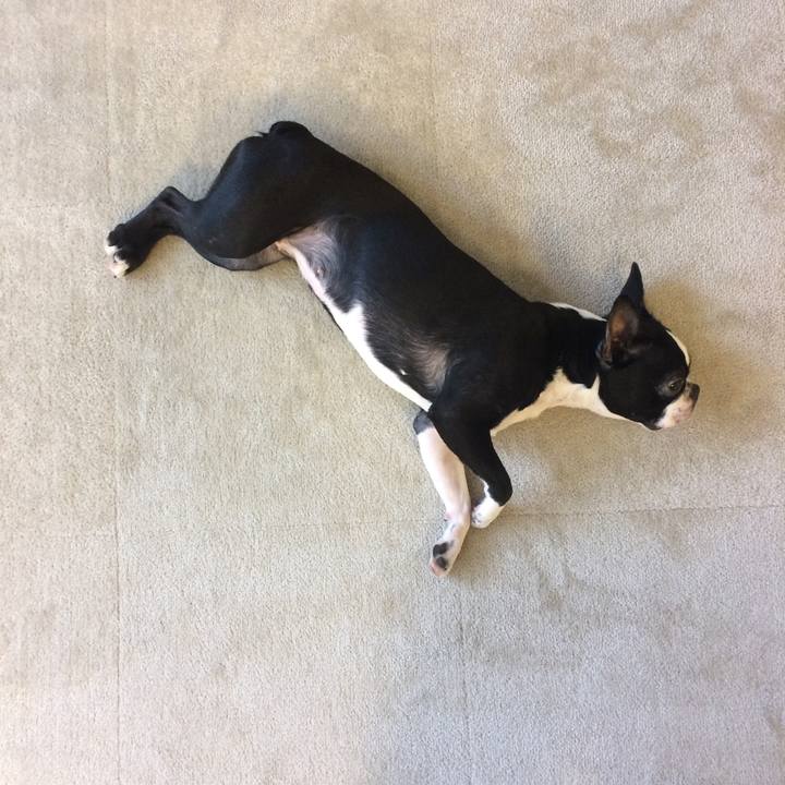 19265005 1648 4f6d 9f71 b673b5168a80