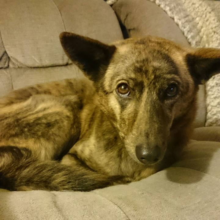 19270391 dfc6 4c6c 966f 9d60461d583c