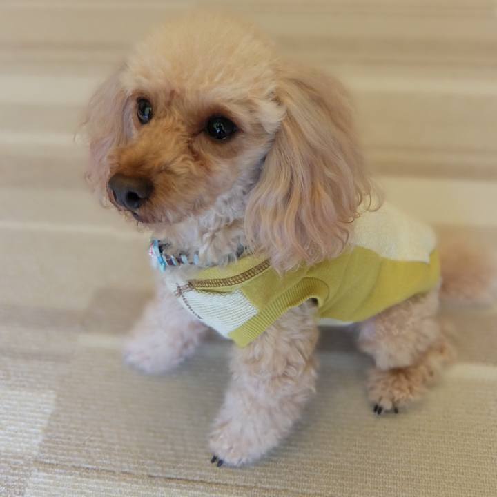 1927144c 90c8 4efb 8104 e61db18a5fd7