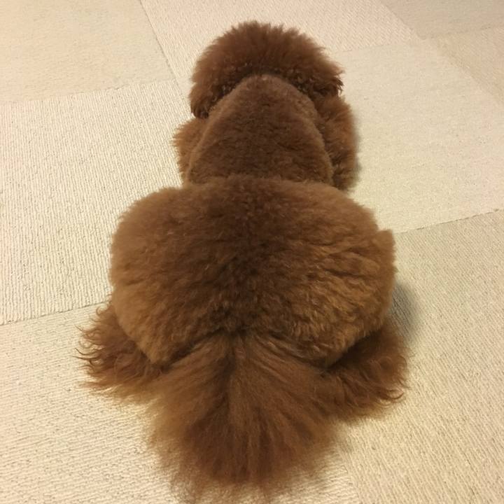 19276692 81d2 4418 a785 583b4f362d07