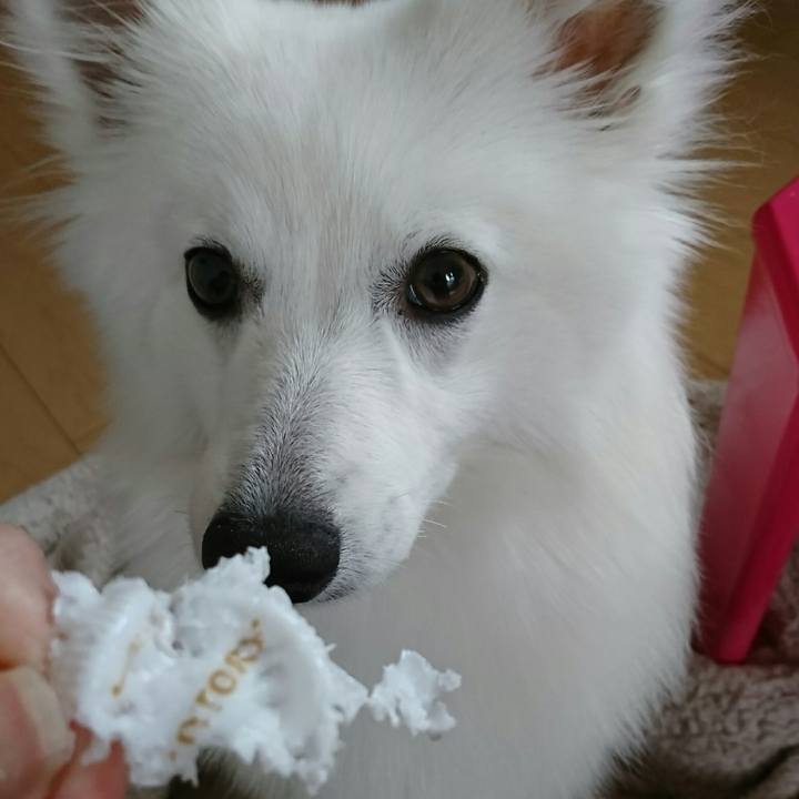 19276733 0524 40e3 b559 ba906c332c81